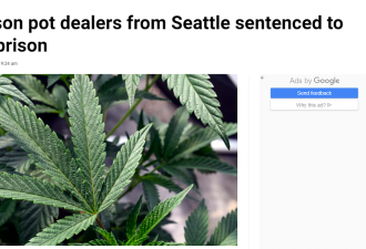 以合法企业掩护黑市大麻交易，西雅图华裔父子被判刑