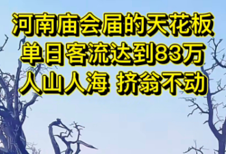 83万人挤爆！曾经最“土”景点春节翻身了