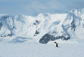 去南极的年轻人，花10万“重启人生”