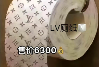 【爆笑】LV厕纸售价6300？能拉金子？