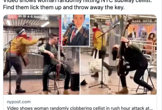 美亚裔大提琴家地铁表演 惨遭女子砸头