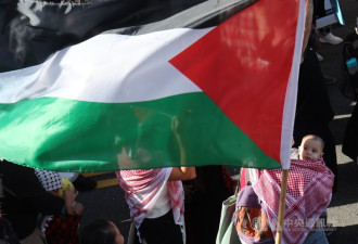 拟正式声明 反对单方面推动巴勒斯坦建国