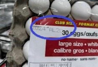 加拿大紧急召回大批鸡蛋，华人常买的4个热销品牌中招