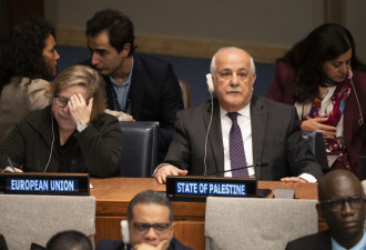海牙国际法院就巴勒斯坦被占领土听证