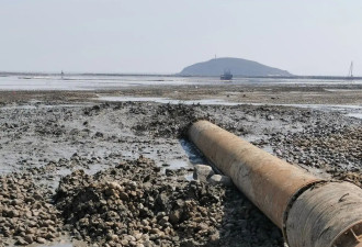 被叫停的海湾整治项目:是生态修复,还是破坏生态?
