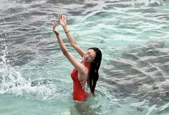 突发！陈浩民靓模妻子浮潜受伤血流不止
