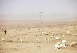 蒙古国70%国土已荒漠化，大量牧民破产流落首都