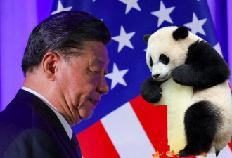 美中战略竞争之际 中国为何重启熊猫外交