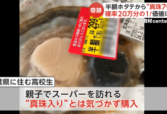 半价买扇贝，拿回家竟开出7颗天然珍珠