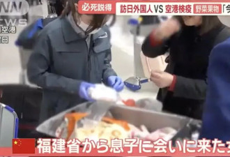 多名中国旅客携带水果，肉制品入境日本