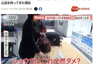 多名中国旅客携带水果，肉制品入境日本