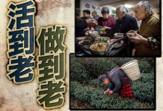 重大改革：中国延迟退休政策即将出台