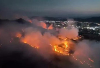 消失在热搜上的贵州山火，内幕流出，激怒全网