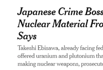 日本男子假扮黑帮老大倒卖核原料，却遇上美国特工！