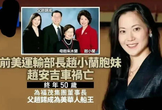 赵安吉驾特斯拉出车祸身亡，有4个疑点，惟有死才能保住全家族