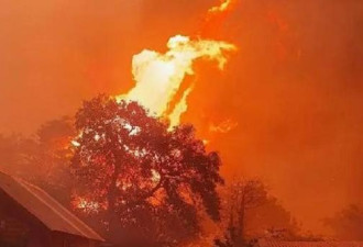 澳大利亚发生最严重火灾 3万人撤离