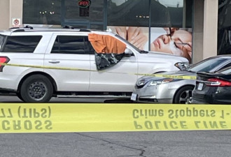 刚刚！多伦多闹市枪击1人当场身亡