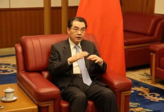 中国可能成为“第二个日本”？中大使回应