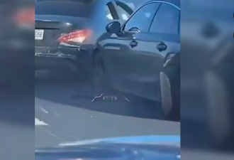 【视频】司机大闹多伦多401高速 蛇形开车强行变道闯祸