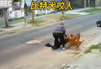 中国全国人大提案：建议将犬只伤人“写入刑法”