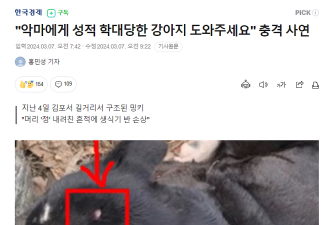 韩国发生骇人听闻动物性虐待事件！