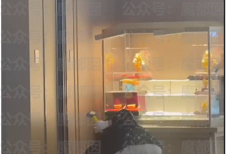 惊心动魄！杭州金店遭持锤打砸抢劫