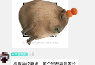30岁了，我妈还在我的家长群里！