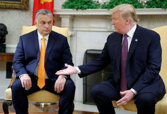 特朗普若当选“一毛钱”都不给乌克兰！匈牙利总理爆