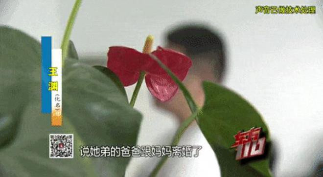 男子供养女友和她老公一家多年被骗240万还愿谅解-6park.com