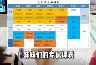 奥运冠军杨威让双胞胎女儿在家上学 引发网友热议