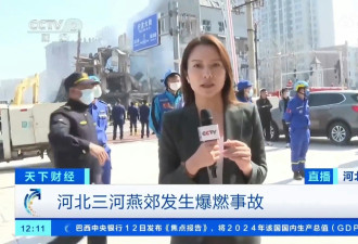 燕郊爆炸：央视记者遭黑衣男打断 十几个警察推搡…
