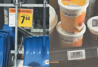 气笑了！加拿大男子吐槽食品价格失控！大雪铲都比奶酪便宜！