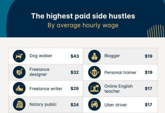 意不意外！每小时$43，美国最赚钱的副业竟是遛狗！