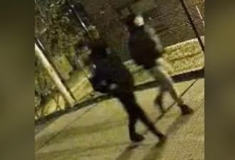 两匪深夜割车胎并喷漆 警方公布影像呼吁公众提供线索