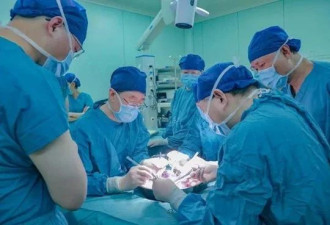 世界首例！中国成功将“基因编辑”猪肝移植入人体