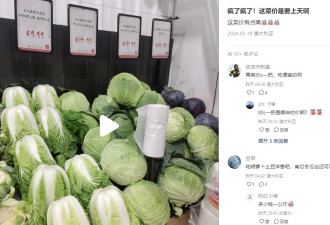 和这个华人聚居城市比，多伦多菜价真心不贵