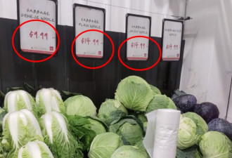 和这个华人聚居城市比，多伦多菜价真心不贵