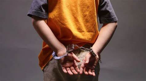 读宋史的赵大胖｜从我懂事起，就不再相信“