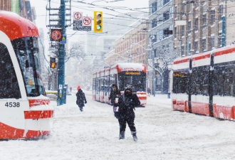 50cm暴雪狂袭加拿大 多伦多遭最严重雪暴大降温