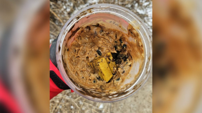 Photo of an unknown substance mixed in with some peanut butter that police say made some dogs sick at Taylor Creek Park