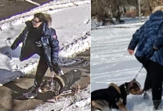父子俩在多伦多公园遇恶犬孩子重伤！警方寻人：公众安全有危险