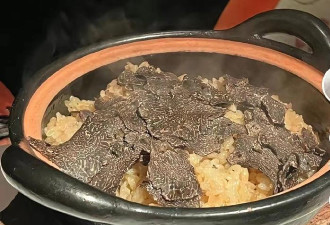 星二代都在国外留学，王诗龄晒高端食材