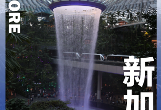 最贵的新加坡，涌入中产研学团！