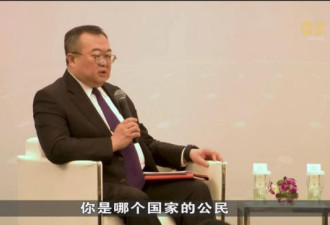 刘部长：海外华人是哪国国籍 就效忠哪国
