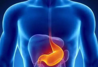 脾胃是后天之本 几个方法养出好脾胃
