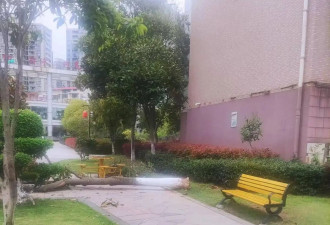 实探"南昌3人被大风吹落坠亡"现场:祖孙俩连同...