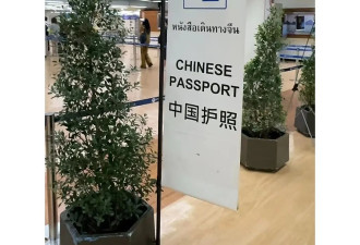 泰国机场的“中国人专用通道”，原来这么恶心….