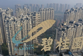 外媒：欠债的地产开发商碧桂园在香港暂停交易
