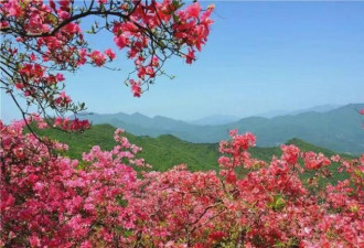 大别山：和你想的不一样 收下这份上春山攻略
