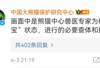 熊猫“福宝”回国疑被戳 中韩网友不满 最新回应来了